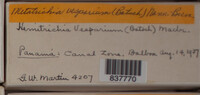 Image Associated With the Occurence